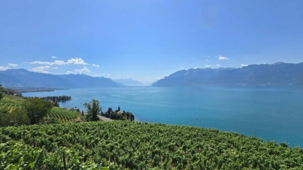 Another Heatwave Is Already On The Way As Switzerland Barely Draws Breath