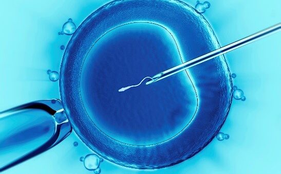 Why Is IVF So Difficult In Switzerland? Strict Law, High Cost, Limited Access