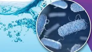 Basel Legionella Outbreak Reaches 28 Cases As Prosecutors Open Negligent-Homicide Probe
