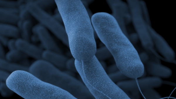 One Dead As Wetzikon Legionella Cases Reach 33, Source Still Unknown
